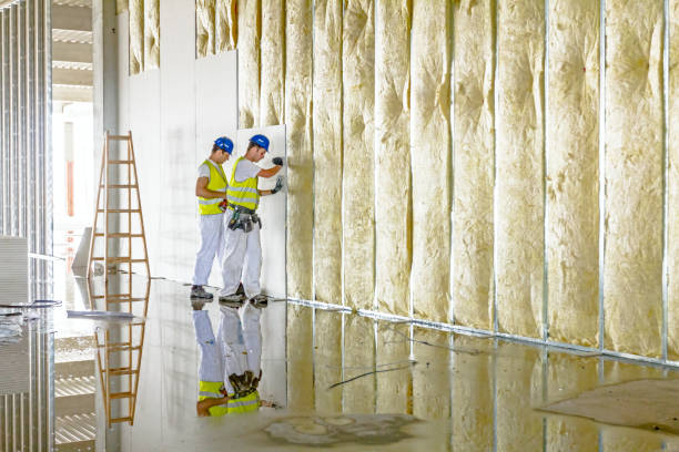 Best Insulation Installation Services in Ketchum, ID